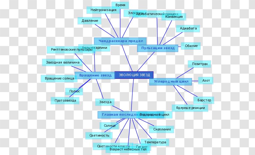 Line Point Angle Diagram Organism - Text - Combination Of And Graph Transparent PNG