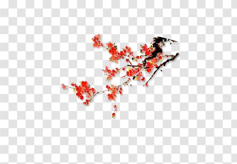 Cherry Blossom Plum - Twig - Flower Transparent PNG