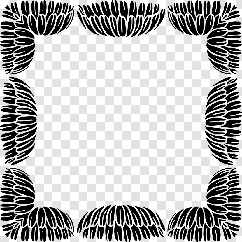 Zebra Clip Art - Floral Ornament Frame Transparent PNG