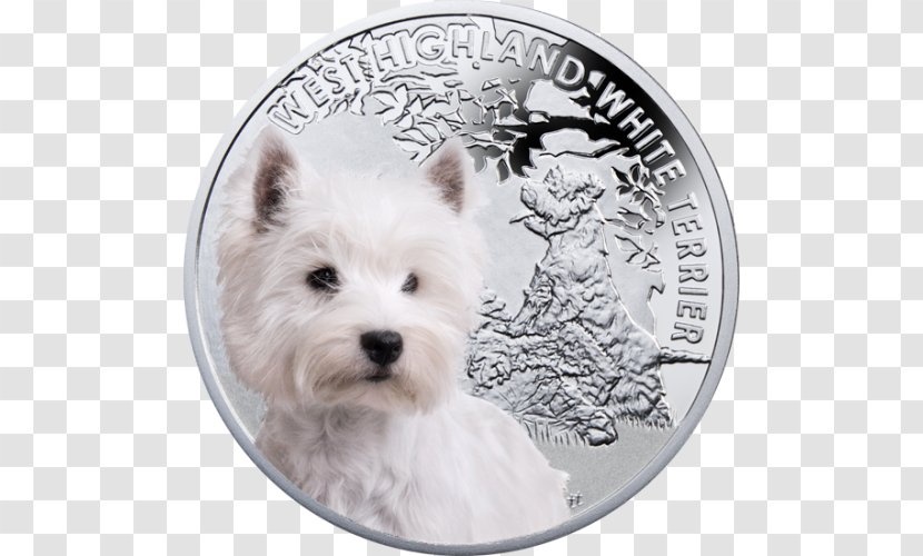 West Highland White Terrier Cairn Norwich Dog Breed Yorkshire Transparent PNG