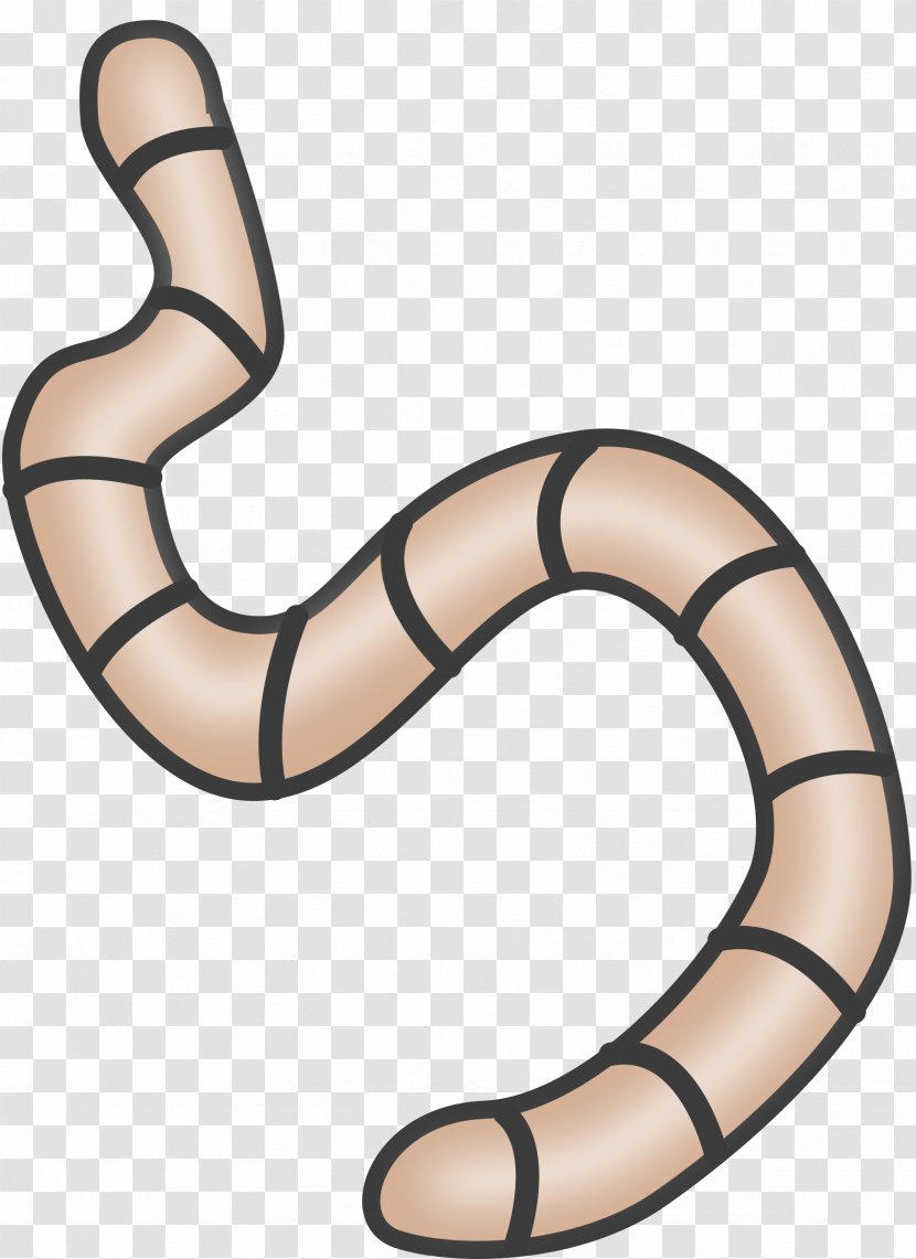 Earthworm Free Content Clip Art - Public Domain - Decomposer Cliparts Transparent PNG