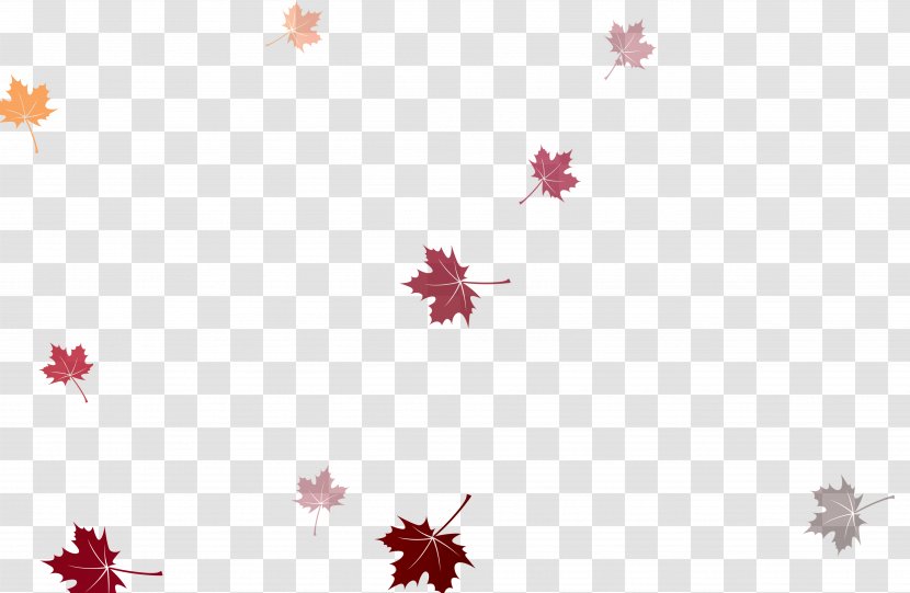 Kolkata Image Resolution Wallpaper - Software - Red Maple Leaf Floating Material Transparent PNG