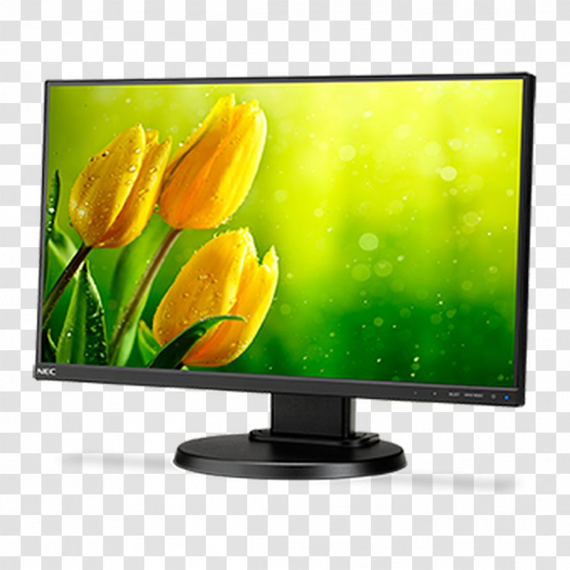 Computer Monitors LED-backlit LCD IPS Panel Liquid-crystal Display NEC MultiSync E221N 21.5