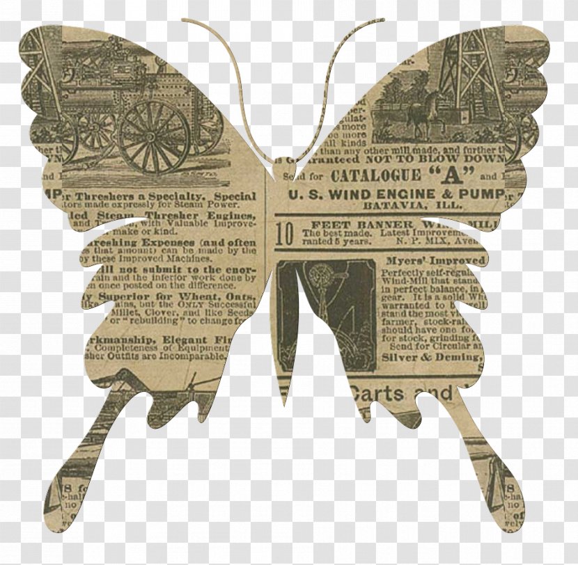 Image Pictogram Paper Clip Art - Moths And Butterflies - Symbol Transparent PNG