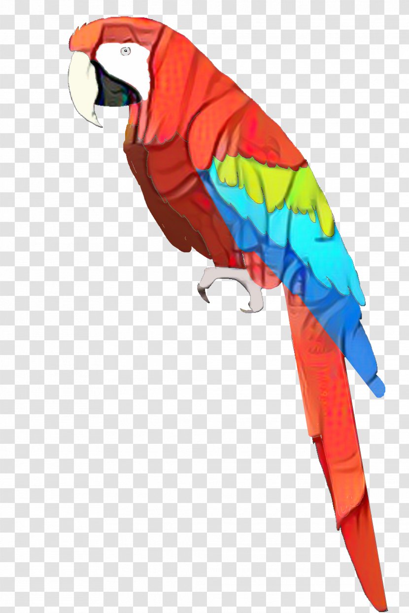Bird Parrot - Wing Budgie Transparent PNG