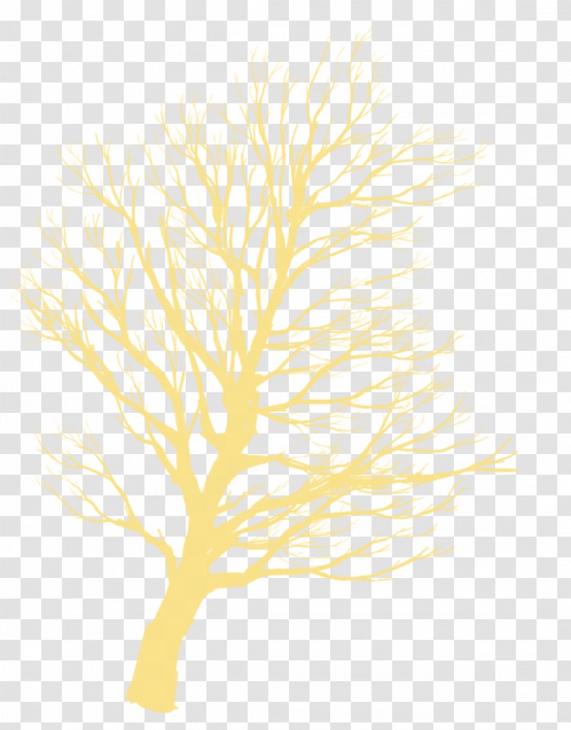 Tree Silhouette Twig - Yellow - Decorative Motifs Transparent PNG