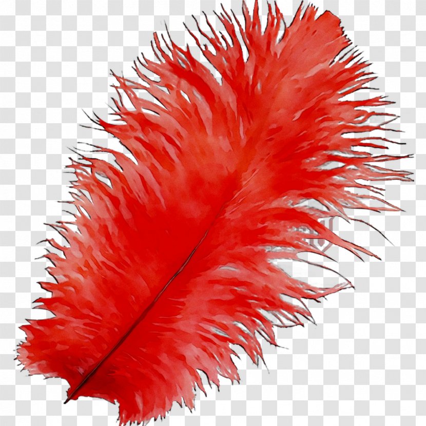 Artist Feather Creativity Party Wannabe Transparent PNG