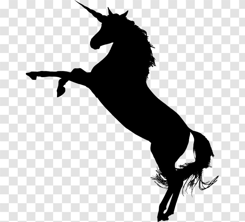 Arabian Horse American Quarter Standing Clip Art - Unicorn Horn Transparent PNG