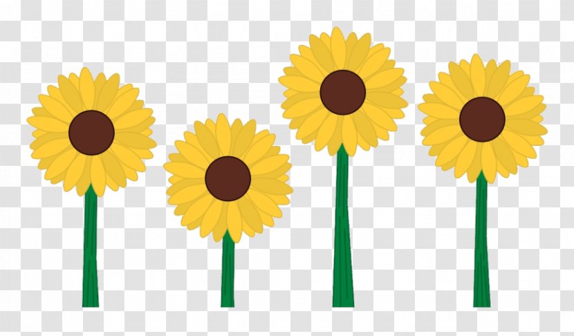 Sunflower - Gerbera - Asterales Daisy Family Transparent PNG
