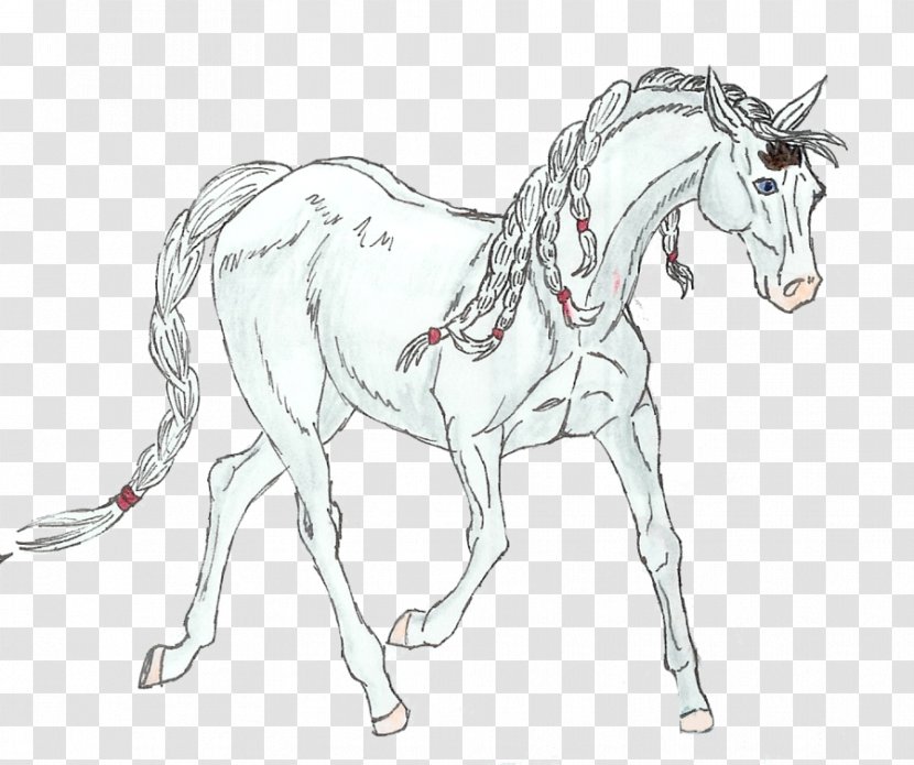 Mule Foal Halter Stallion Colt - Pony - Mustang Transparent PNG