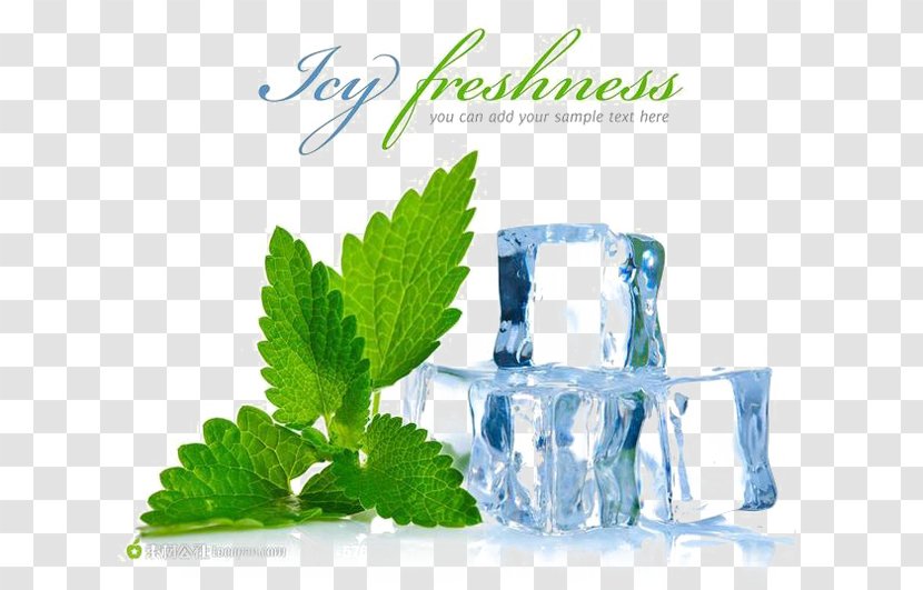 Peppermint Mentha Spicata Menthol Electronic Cigarette Aerosol And Liquid Flavor - Ice Transparent PNG