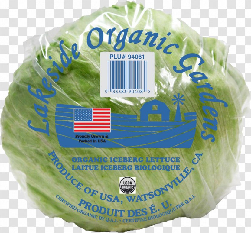 Lakeside Organic Gardens Produce Product Vegetable Ship - Iceberg - Lettuce Head Transparent PNG
