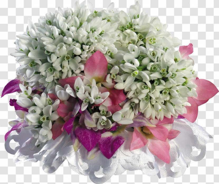 Snowdrop Flower Bouquet Birthday Image Transparent PNG