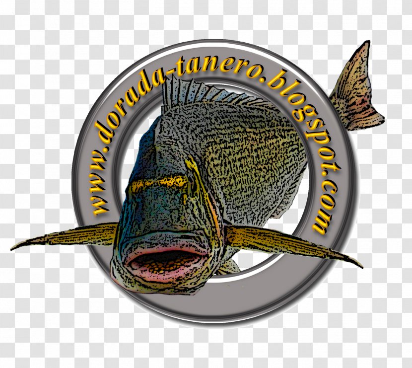 Surf Fishing Fish Hook Gilt-head Bream Catch And Release - Symbol Transparent PNG