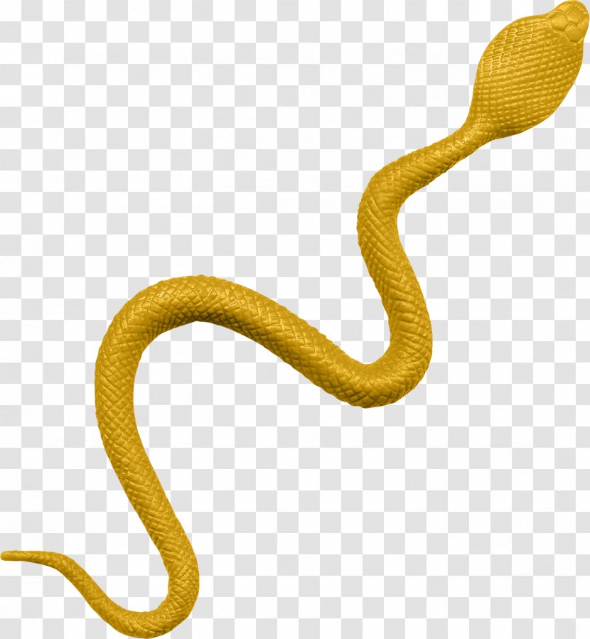 Sketch Snake U86c7u738b Coral Reef Snakes - Google Images - Orange Creative Transparent PNG