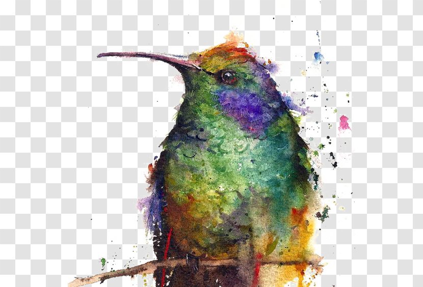 Hummingbird Watercolor Painting Watercolour Flowers Printmaking - Work Of Art - Creative Birds Transparent PNG