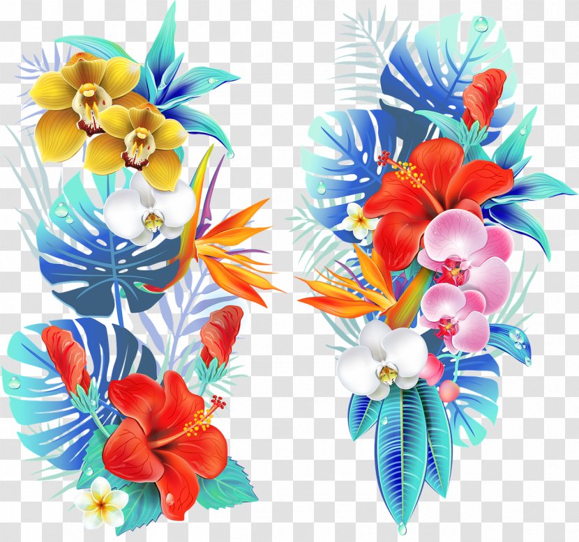 Drawing Vector Graphics Flower Illustration Clip Art - Tropical Flowers Transparent PNG
