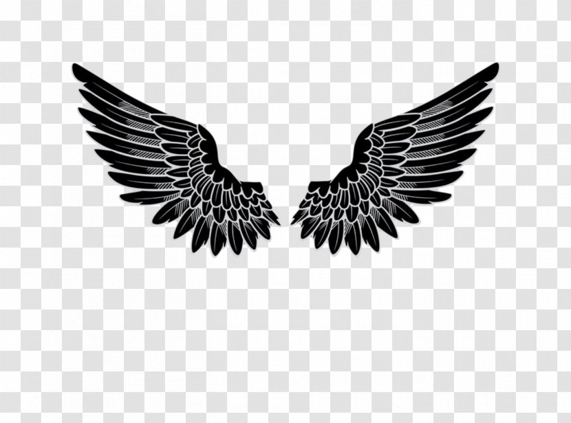 Logo Angel - Eagle - Wings Transparent PNG