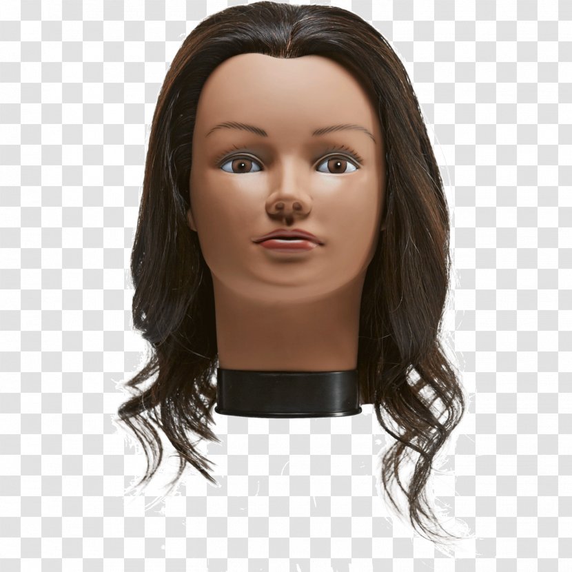 Mannequin Hair Cosmetology Sally Beauty Supply LLC Holdings - Llc - Manniquin Transparent PNG