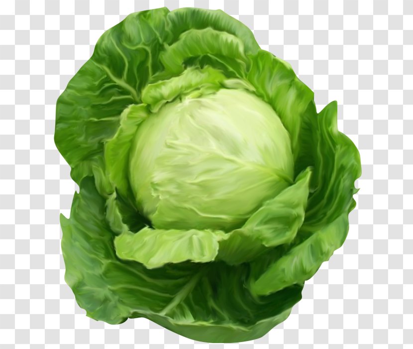 Chinese Food - Flower - Side Dish Brassica Transparent PNG