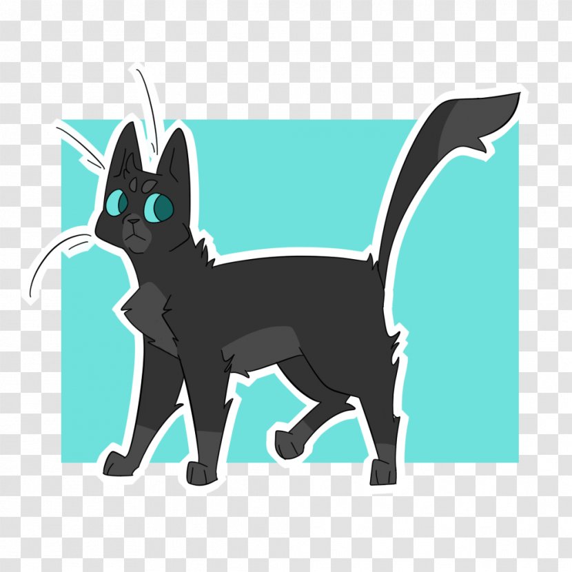 Whiskers Korat Kitten Te Rapelle Tu - Fictional Character Transparent PNG