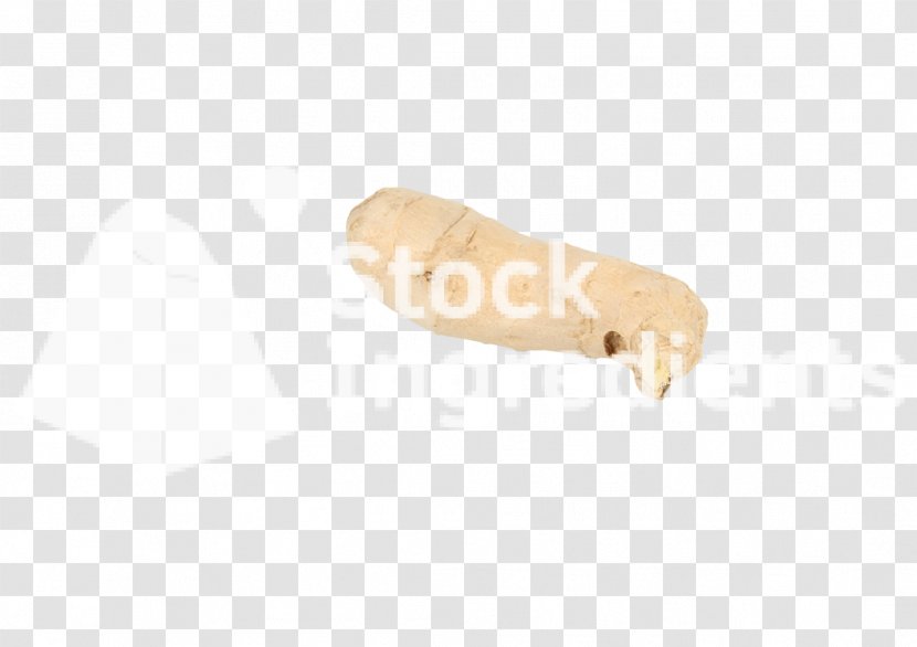 Invertebrate Finger - Ginger Root Transparent PNG