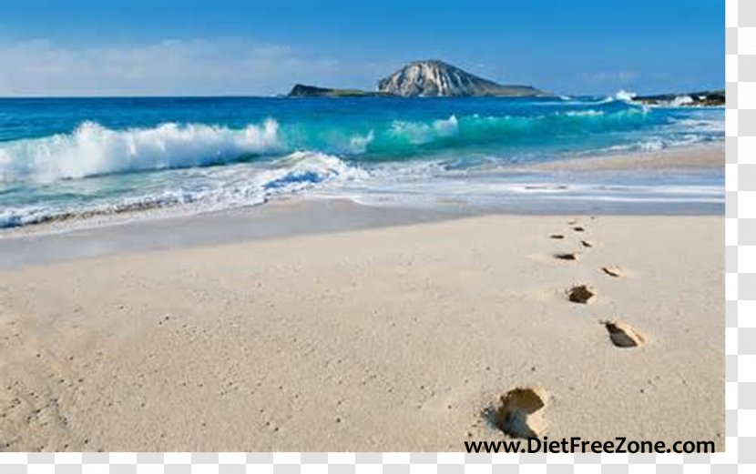 Footprints Beach Desktop Wallpaper - Sea Transparent PNG
