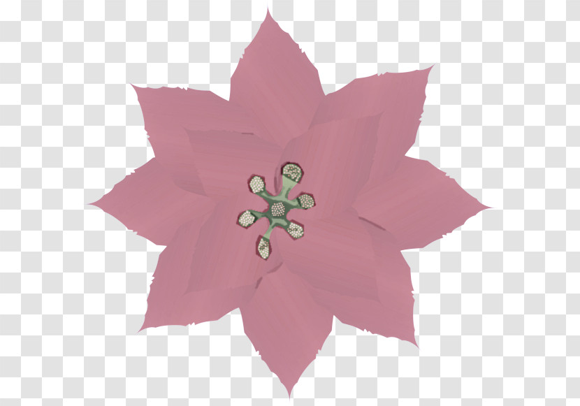 Pink Petal Flower Plant Leaf Transparent PNG