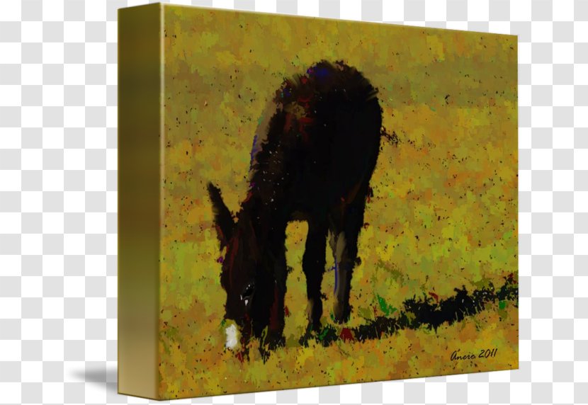 Mustang Stallion Donkey Painting Freikörperkultur Transparent PNG