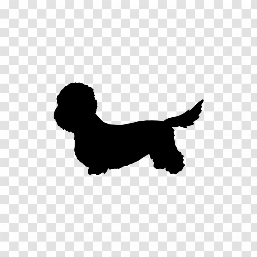 Dog Breed Dandie Dinmont Terrier Australian Airedale Companion - Paw - Puppy Transparent PNG