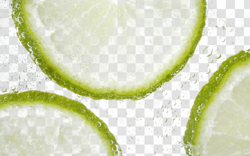 Ice Cream Fizzy Drinks Lemonade Desktop Wallpaper - Persian Lime - Green Lemon Slices Transparent PNG