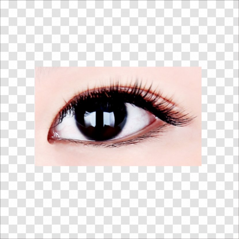 Eyelash Extensions Clip Art - Cartoon - Eye Transparent PNG