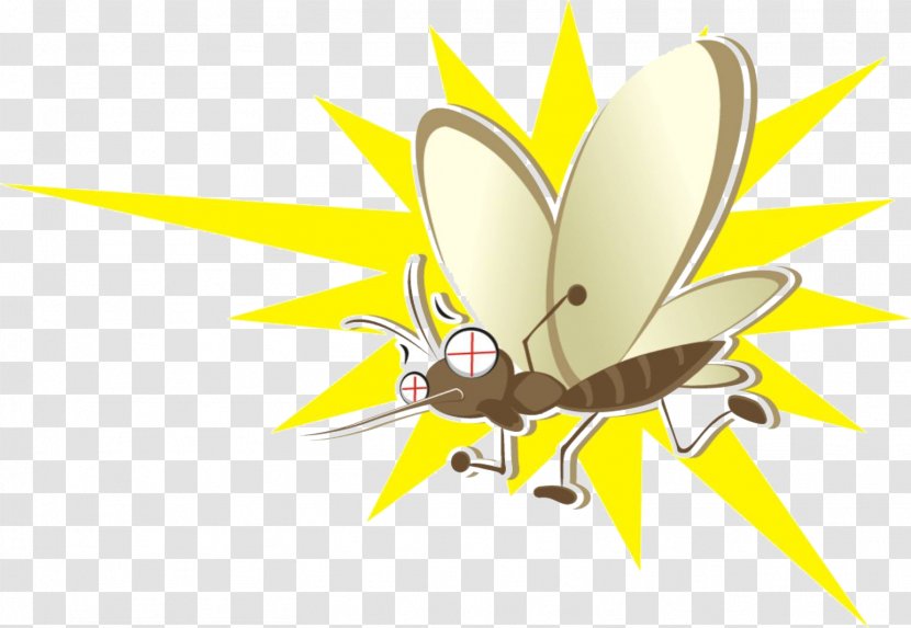 Mosquito Insect Cartoon Transparent PNG