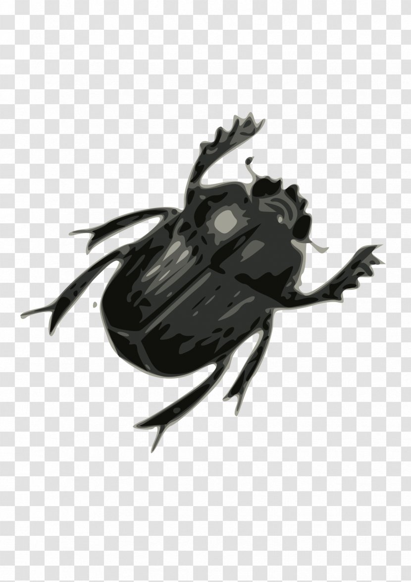 Beetle Clip Art - Pest - Bug Image Transparent PNG