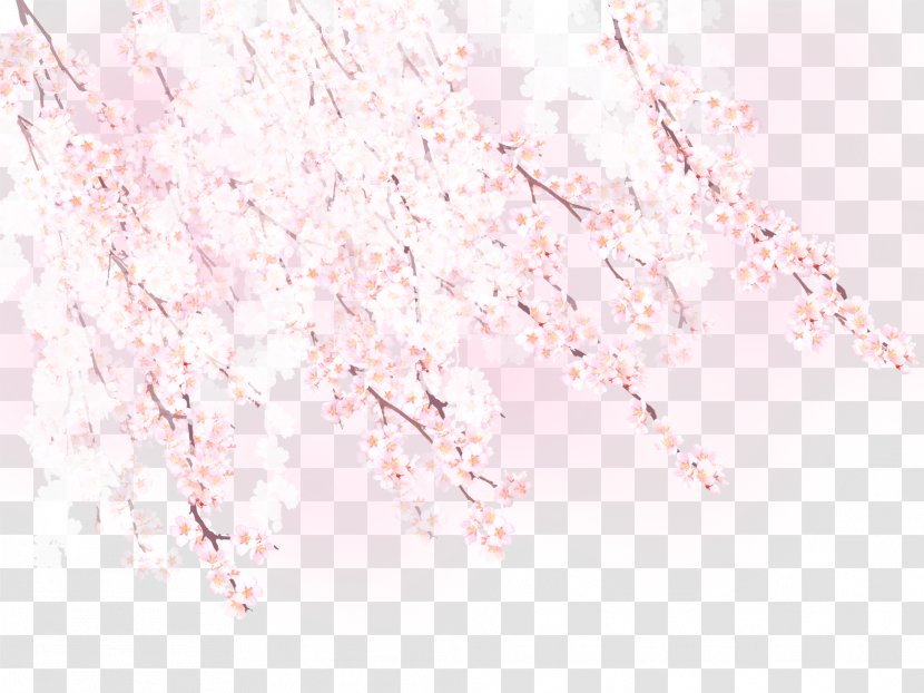 Cherry Blossom - Romantic Flower Pattern Transparent PNG