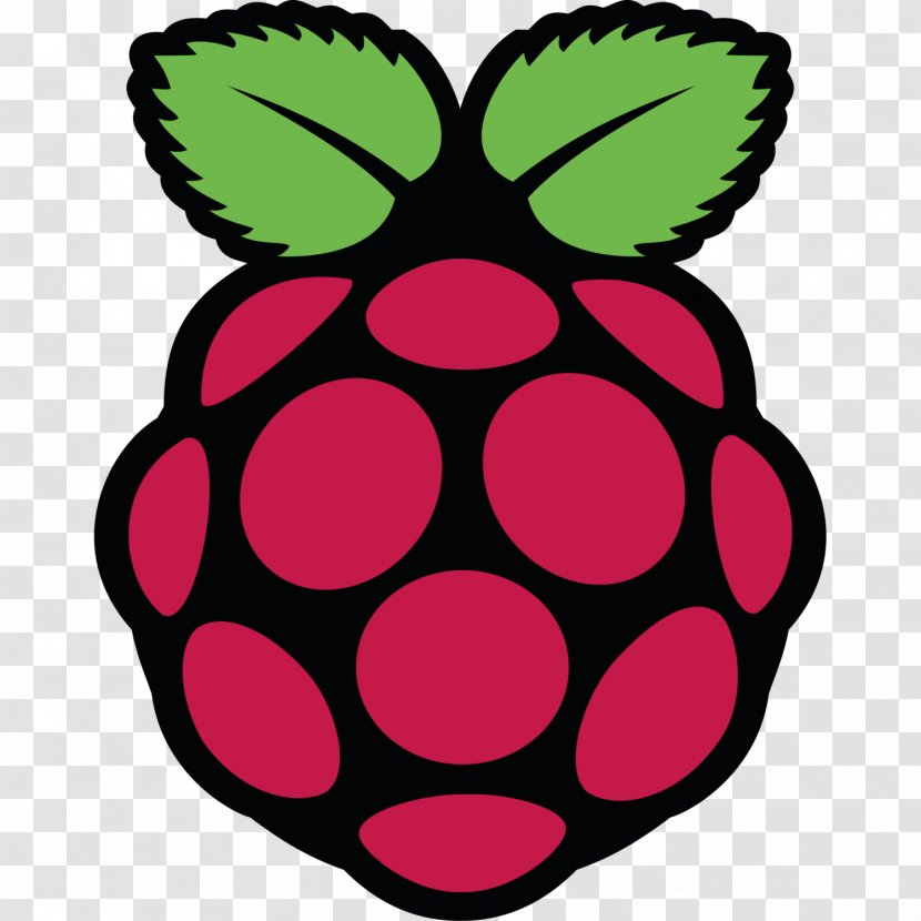 Raspberry Pi Foundation Computer USB Linux - Fruit Transparent PNG