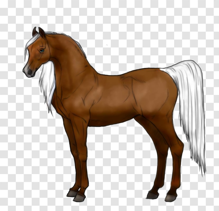 Mustang Mane Friesian Horse Arabian Stallion Transparent PNG