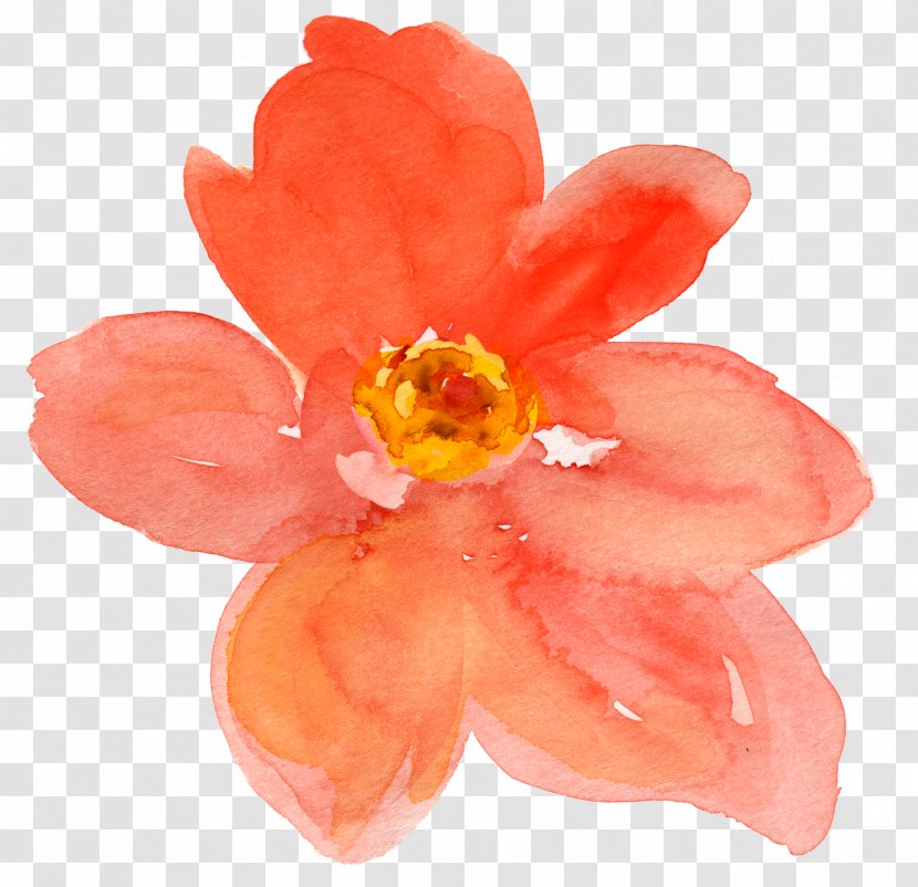 Watercolor Painting Flower Drawing Clip Art - Pencil - Peach Transparent PNG