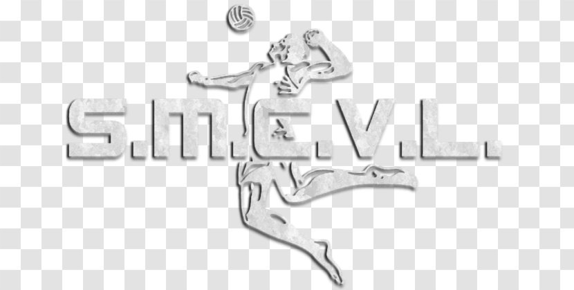 Font Logo Silver Product Design Brand - Text - Men Volleyball Serve Transparent PNG