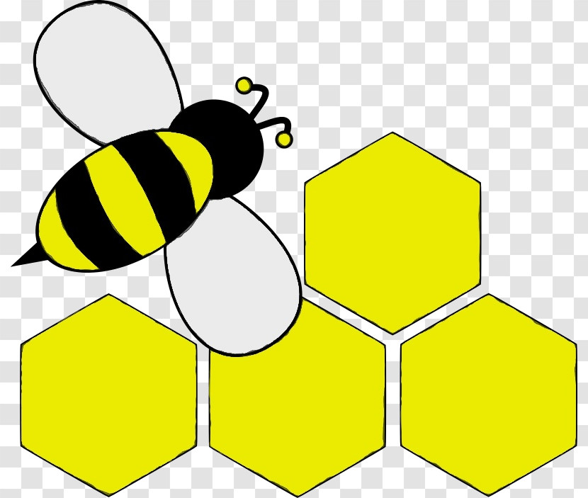 Honey Bee Bees Drawing Pencil Cartoon Transparent PNG