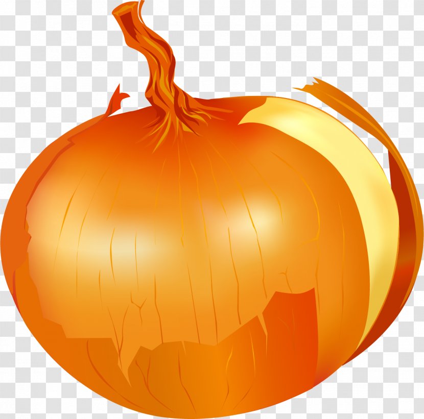 Onion Ring Calabaza Vegetable - Pumpkin - Vector Painted Transparent PNG