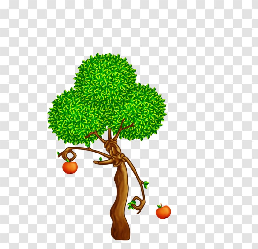 Tree Drawing Oak Clip Art - Digital Image - Old Apple Transparent PNG