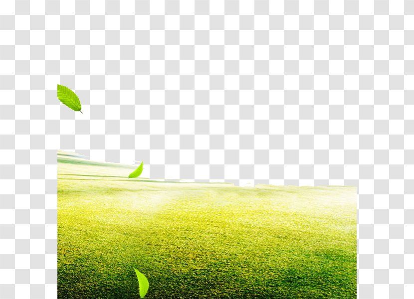 Tmall Price E-commerce Taobao AliExpress - Grass Background Transparent PNG
