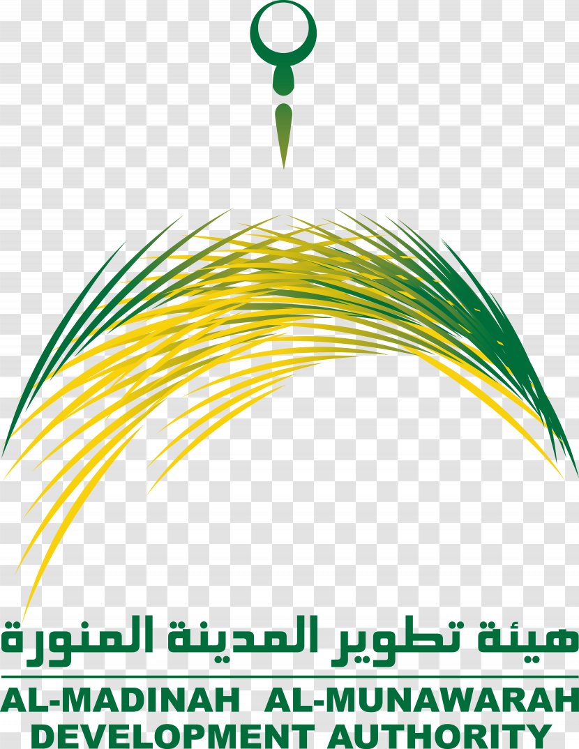 Development Of Madinah Authority Mecca Municipality Alshamel Medical Laboratory Communication - Grass Transparent PNG