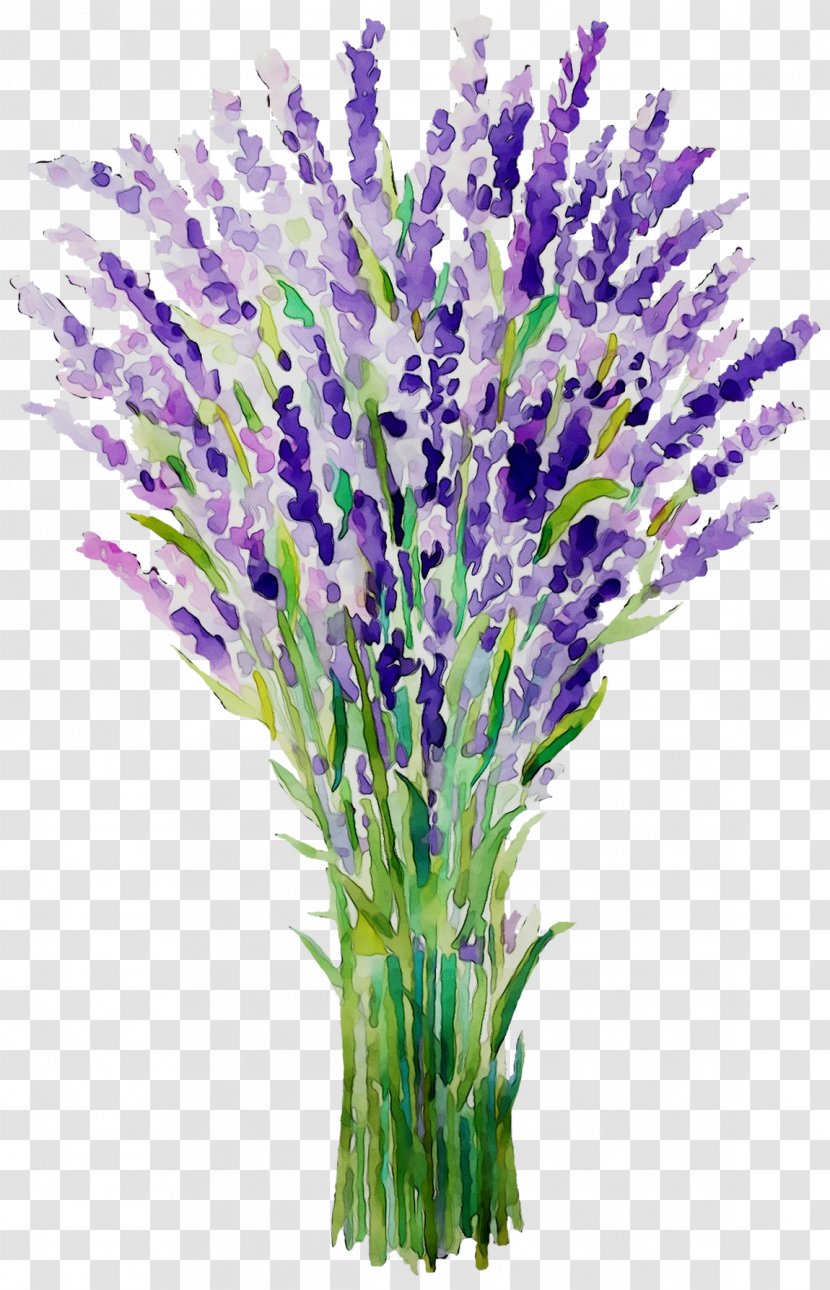 English Lavender French Plant Stem Cut Flowers Grasses - Delphinium Transparent PNG