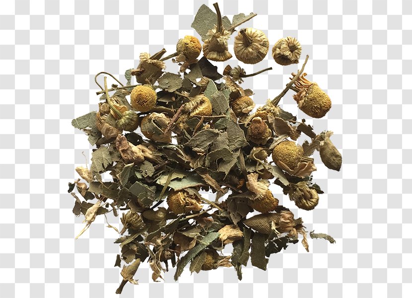 Oolong Tieguanyin Green Tea Matcha - Chamomile Transparent PNG