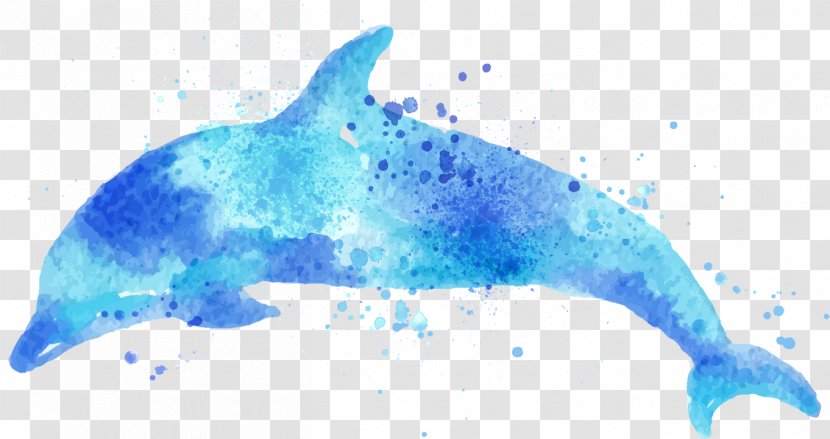 Watercolor Painting Drawing Dolphin Illustration Transparent PNG