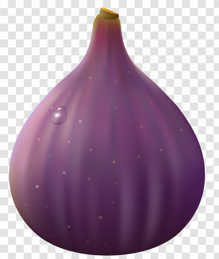 Purple Design Product - Transparent Fig Clipart Picture Transparent PNG
