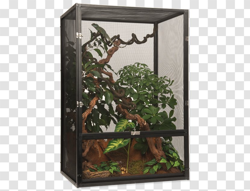 Reptile Chameleons Vivarium Mesh Cage - Turtle - Terrarium Transparent PNG
