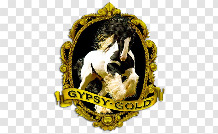 Gypsy Horse Gold Farm Foal Stallion - Breed Transparent PNG